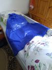Bild 47895