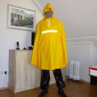 Bild 48223